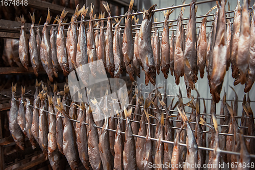 Image of Smoked fish production concept