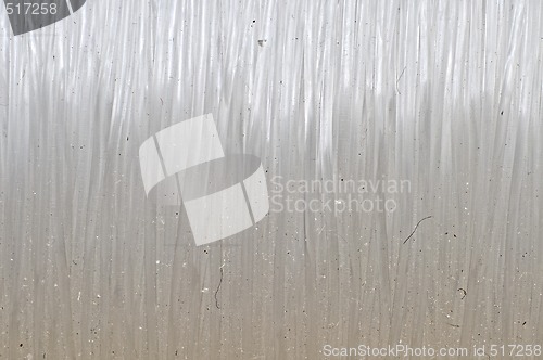 Image of Monofilament Fishing Line Macro