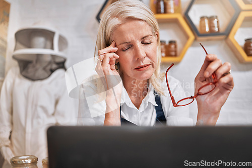 Image of Woman, headache and entrepreneur stress and anxiety, honey salesperson, small business owner stressed out with digital sale report on laptop. Business crisis, store problem and burnout with glasses.