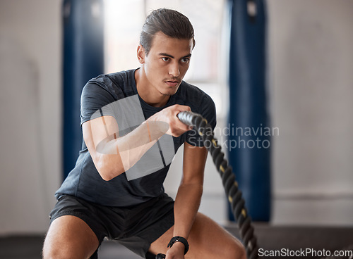 Image of Fitness, man and rope exercise, sports training and workout for muscle, energy and wellness in gym. Focus bodybuilder guy moving battle ropes with energy, action and power, challenge and healthy body