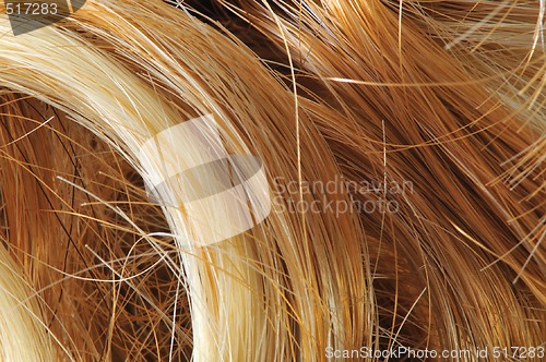 Image of Wig Hair