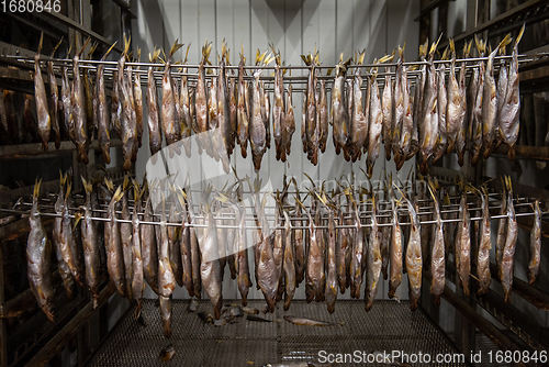 Image of Smoked fish production concept