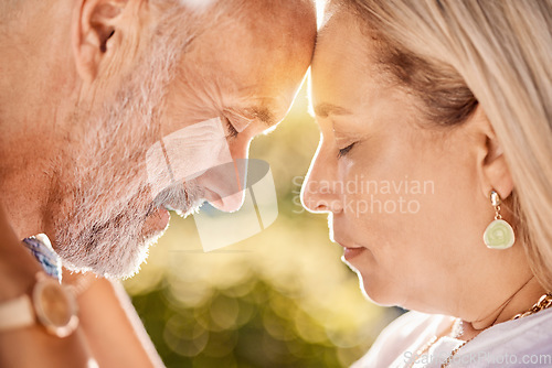 Image of Senior, couple, love and trust while together in retirement for love, care and trust on a summer vacation outdoor. Face of a man and woman touching forehead while in nature with support in marriage