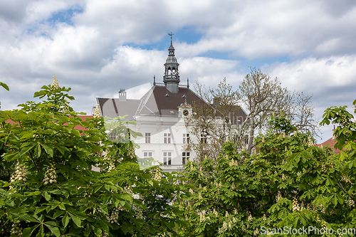 Image of Town hall in Valtice, South Moravia, Czech Republic