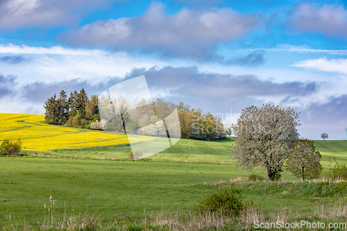 Image of Beautiful spring countryside scenery, Czech Republic.