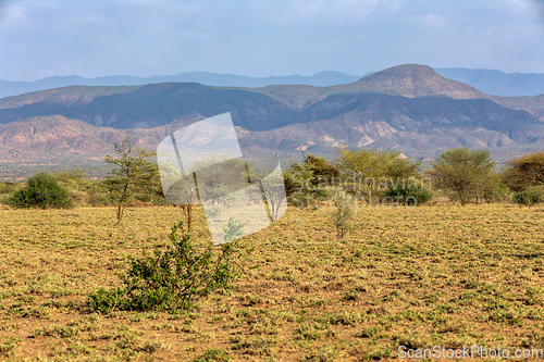 Image of Savanna in the Awash National Park, Ethiopia