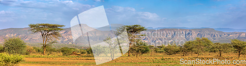 Image of Savanna in the Awash National Park, Ethiopia