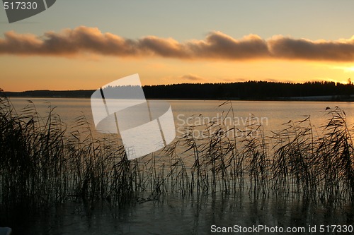 Image of winter sun