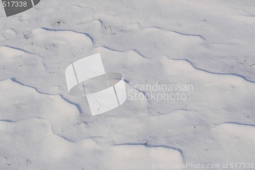 Image of snow field