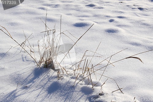 Image of snow field
