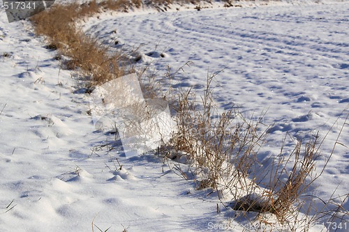 Image of snow field