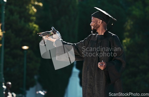 Image of Black man, graduation and birds for achievement, success and goals of future, dreams or education motivation. Happy graduate holding pigeons in hands in celebration of academic pride, hope and event