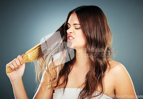 Image of Hair care, brush and frustrated woman brushing damaged and tangled hair on a gradient studio background. Female model with crisis, stress and disaster with hair loss problem with hairdresser shampoo