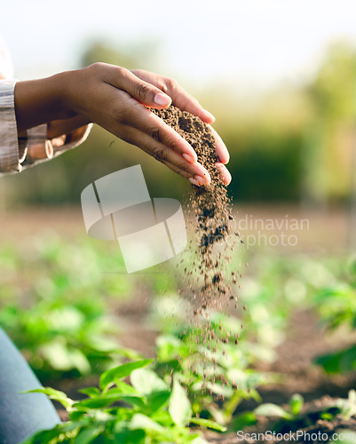 Image of Farmer, hands and agriculture with soil, dirt or dust for plants, growth or farming closeup. Black woman, land and farm with field, earth or nutrition of ground for sustainability, fertility and zoom