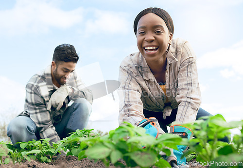 Image of Farmer, gardening and agriculture portrait in field with happy black woman and indian man working. Nature, soil and interracial farming people on vegetable produce farm together with low angle.