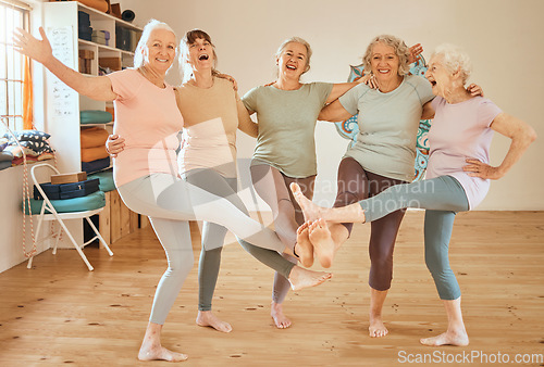 Image of Friends, fitness and dance with a senior woman group having fun together in an exercise class. Gym, wellness and health with a mature female team training in a studio for an aerobic workout