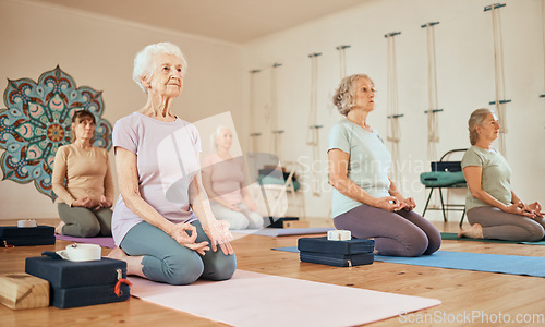 Image of Yoga, lotus and group of senior women in gym meditating for spiritual health and wellness. Meditation, zen chakra and retired females training to relax for mindfulness and peace in fitness center.