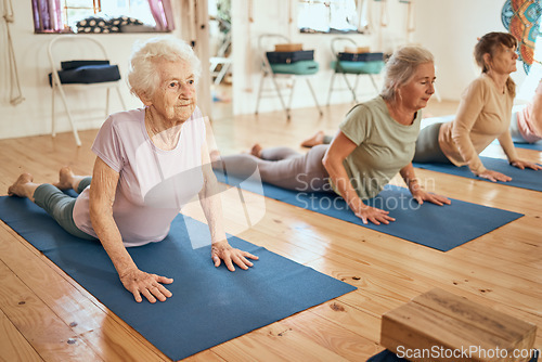 Image of Yoga, stretching and senior women at a wellness, rehabilitation and retirement spa community for exercise, fitness and health. Workout, pilates and healthy elderly people, friends or group on floor