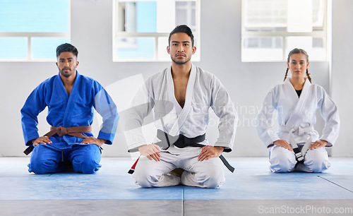 Image of Portrait, training and karate group with coach in dojo ready for exercise or workout. Taekwondo, martial arts or group of students kneeling with teacher preparing for fight, match or fitness practice