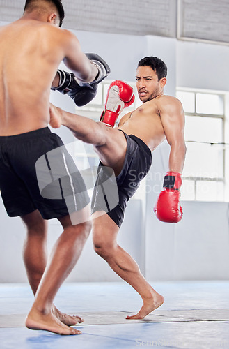 Image of MMA, combat and fight with a sports man and rival fighting in a gym or health club for self defense. Fitness, exercise and training with a male fighter and competition in a gym for combat sport
