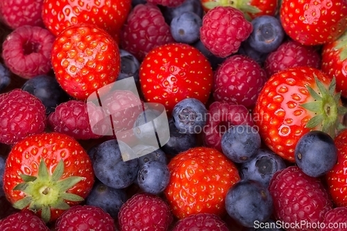 Image of Variety of berries - strawberries, blueberries, raspberries scattered