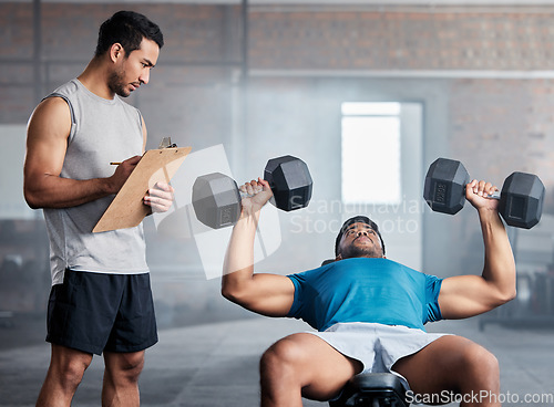 Image of Fitness, personal trainer and weightlifting dumbbells for sports training or exercise for competition at the gym. Coach holding clipboard for workout checklist, bodybuilder or physical documentation