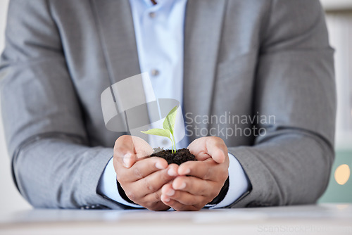 Image of Businessman, hands and plant growth for agriculture sustainability, startup development and green energy. Corporate enviroment, nature innovation and man with sustainable carbon footprint solidarity