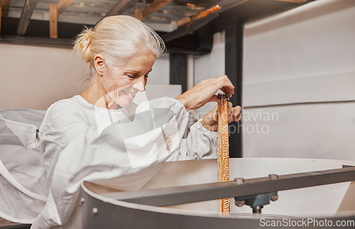 Image of Honeycomb, honey and bee farmer, production and manufacturing natural product in factory or workshop. Woman entrepreneur, harvesting and happy smile while working in agriculture industry or process