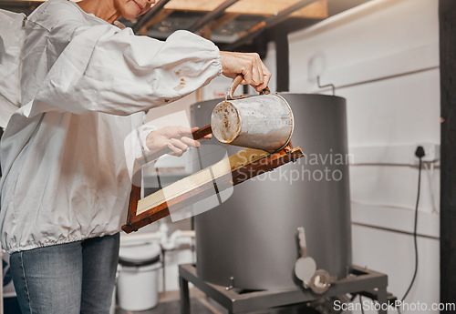 Image of Beekeeping, frame and senior woman preparing a bee frame for the production of honey at a farm. Small business, agriculture and beekeeper working on a honeycomb structure for bees for farming