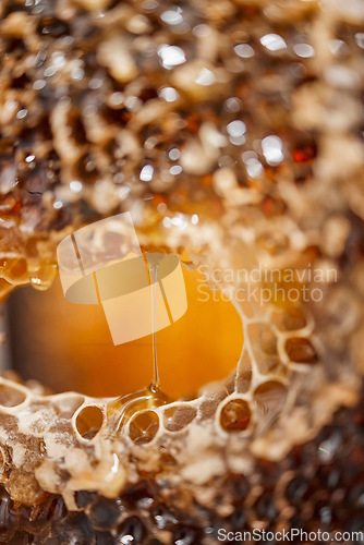 Image of Nature, honeycomb and texture drip macro for nutrition, health and bee farming production. Natural, textures and zoom of raw, organic and golden honey process for a healthy lifestyle.