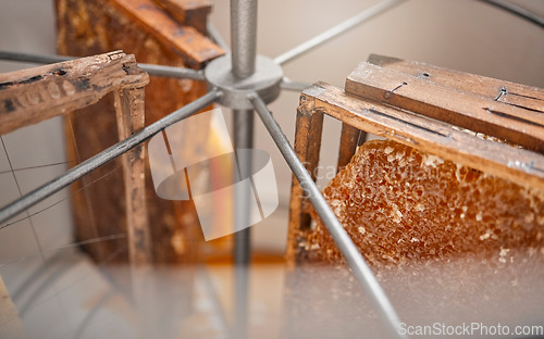 Image of Honey, farm and production with honeycomb extract in equipment for bee farming or beekeeping harvest. Food, agriculture and sustainability with honey comb in a machine to rotate closeup from above