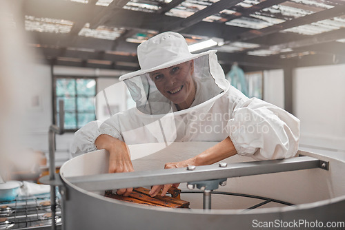 Image of Woman, beekeeper and workshop, bee farming for honey and natural product, farm and small business owner with hive maintenance. Organic, bees and safety suit, elderly person smile in portrait.