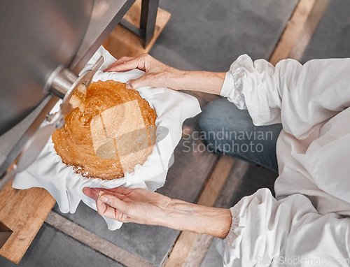 Image of Machine, production and woman with honeycomb in factory on sustainable beekeeping farm. Industrial, workshop and lady processing sweet natural honey with manufacturing equipment in farming warehouse.