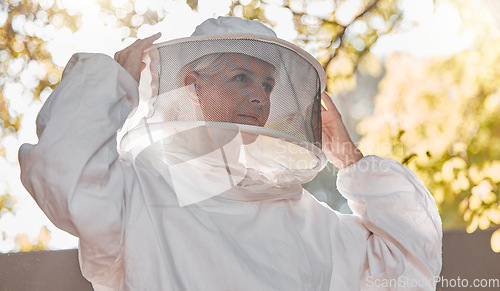 Image of Agriculture, work and beekeeper farm safety suit for protection, production and harvesting. Nature, worker and beehive woman expert getting ready for inspection, extraction or check.