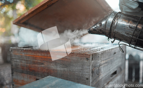 Image of Smoke, beekeeping and agriculture with a wood box and bee smoker for production of honey, honeycomb and beeswax on farm. Apiarist worker working to calm hive or insects for maintenance and inspection