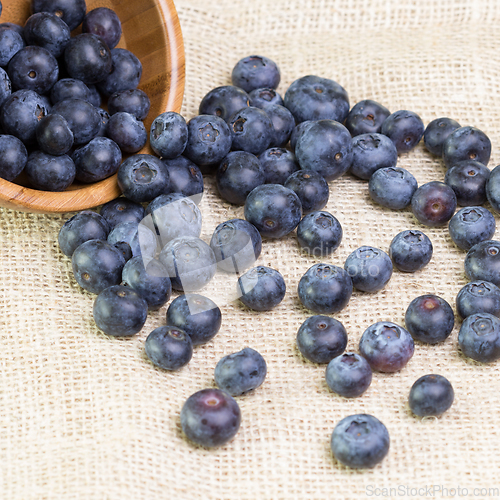 Image of Blueberries in a wooden bowl scattered on a rustic table