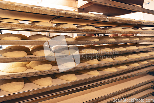 Image of Dough for fresh bread