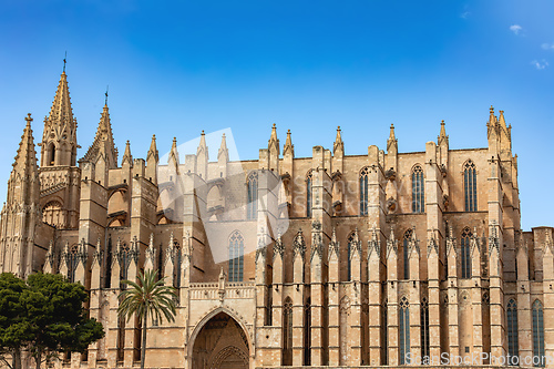 Image of Gothic medieval cathedral La Seu and Royal Palace of La Almudaina. Palma de Mallorca. Balearic Islands Spain.