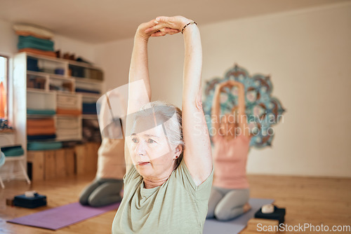Image of Yoga, fitness and senior woman in studio doing workout, stretching and training in exercise class. Wellness, retirement and active elderly female doing pilates, exercising and balance in gym lesson