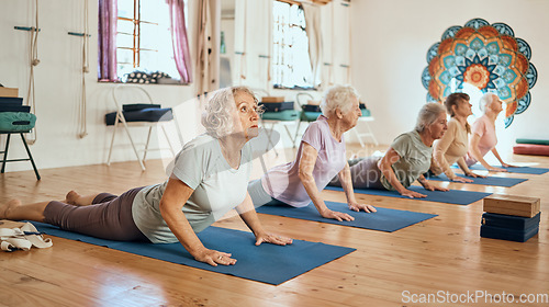 Image of Yoga, exercise and elderly women stretching for balance, peace and wellness in zen studio. Meditation, calm and group of senior friends doing pilates workout for mind and body health in chakra class.