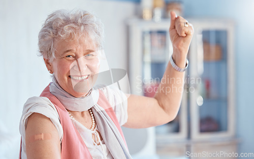 Image of Covid, vaccine and bandaid with portrait of old woman for healthcare, medical and wellness. First aid, insurance and safety with senior patient and plaster for virus, protection and medicine