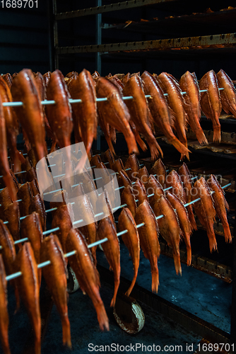 Image of Smoking sea bass fish in smokehouse box