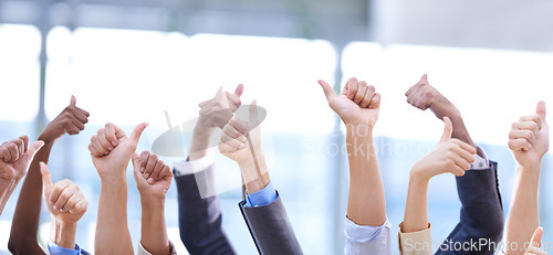 Image of Group, hands and thumbs up for business, collaboration and success, goal or ok. People, like gesture and employees with emoji for agreement, team excellence and thank you for vote, review and support