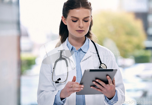 Image of Tablet, woman or doctor in hospital with research to search for medicine web info on social media. Telehealth, scroll or medical healthcare professional reading or browsing on app to chat in clinic