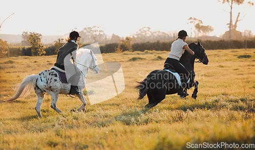 Image of Horse riding, equestrian and hobby with friends in nature racing on horseback during a summer morning. Countryside, freedom and the back of female riders outdoor together for travel, fun or adventure