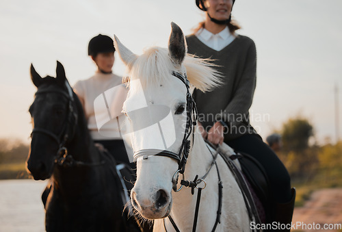 Image of Horse ride, freedom and hobby with friends in nature on horseback by the lake during a summer morning. Countryside, equestrian and female people riding outdoor together for travel, fun or adventure