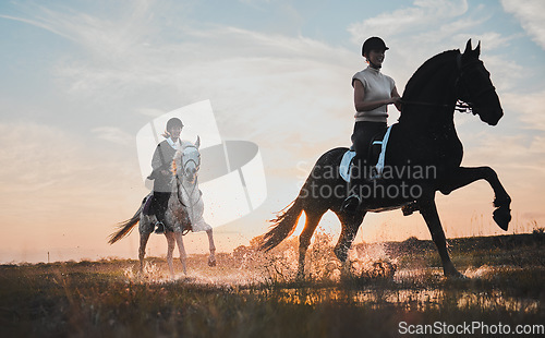 Image of Sunset, girl and horse riding in water for adventure in nature for fun on weekend with friends. Vacation, riders and animal with woman or equestrian with running in outdoor or field, summer or race.