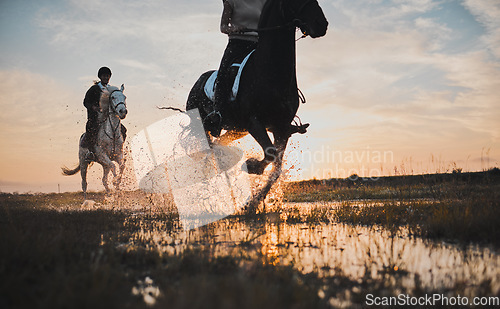 Image of Horse riding, friends and women in countryside at sunset with outdoor mockup space. Equestrian, happy girls and animals in water, nature and adventure to travel, journey and summer vacation together.