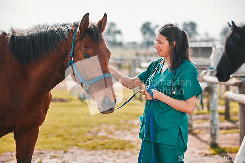 Image of Horse, woman veterinary and medical exam outdoor for health and wellness in the countryside. Doctor, professional nurse or vet person with an animal for help, medicine and healthcare at a ranch