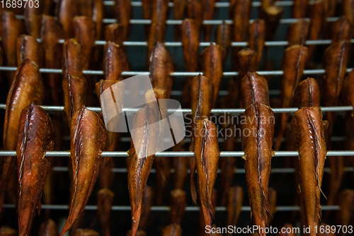 Image of Smoking sea bass fish in smokehouse box